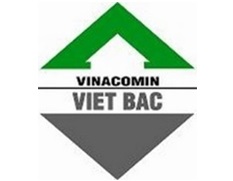 VVMI Logo